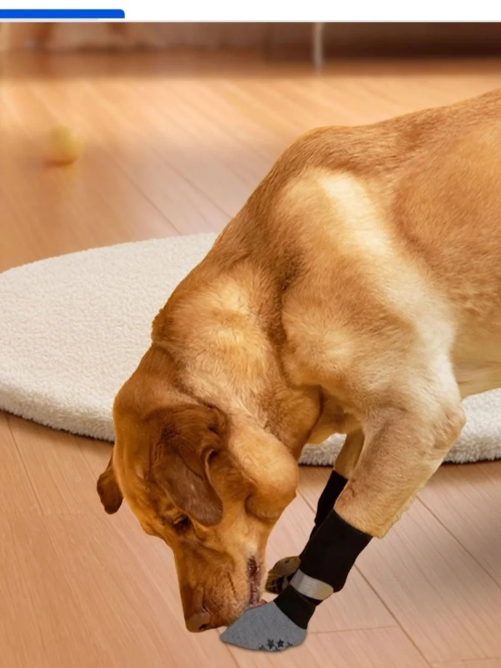 Non-Slip Dog Booties with Paw Grip in Black and Gray